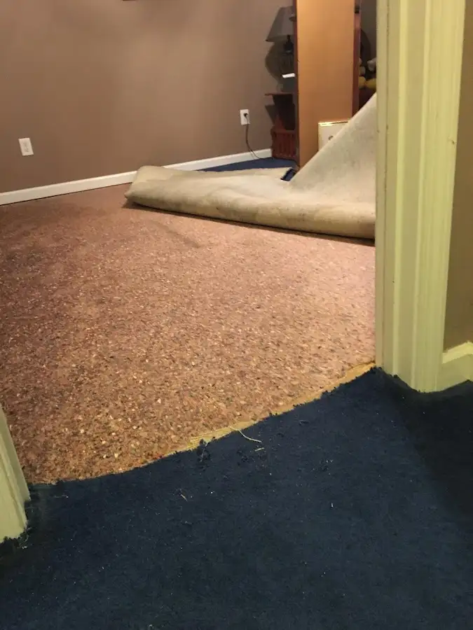 Carpet pad removal revealing water damage during Water Mitigation Services in Bruce