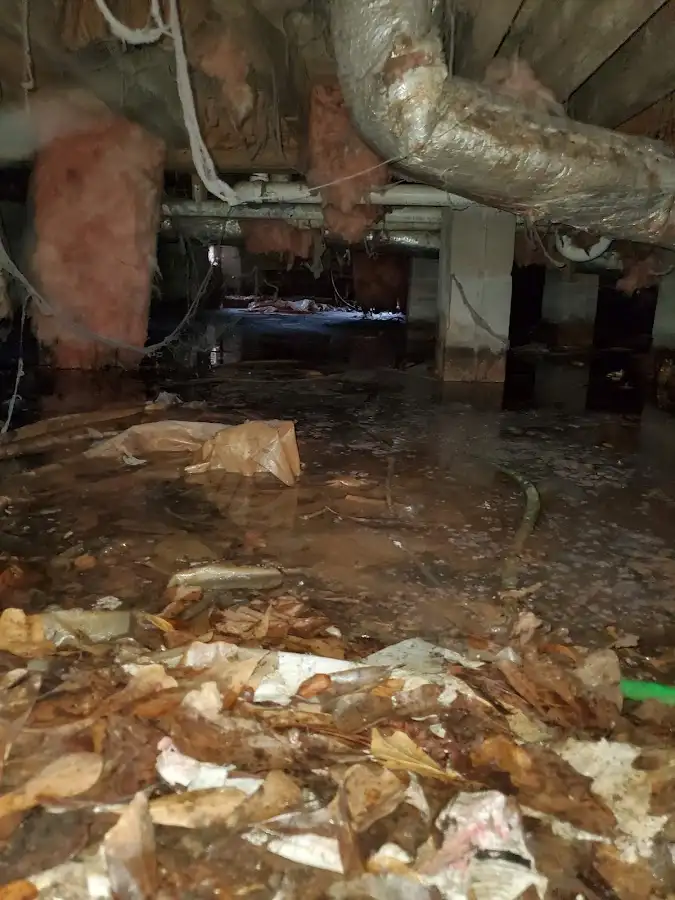 Crawl space flood assessment for Commercial Water Damage Restoration in Bruce