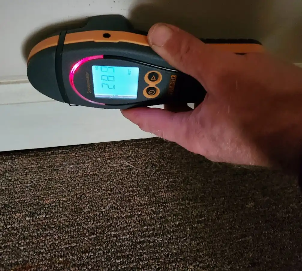 Moisture detection at baseboard during Mold Inspection & Testing in Bruce